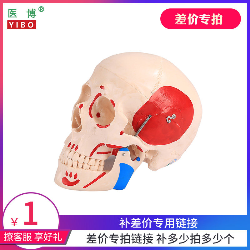 医博  邮费差价专拍/请勿使用满减 优惠卷等促销优惠活动【此链接单拍不发货】