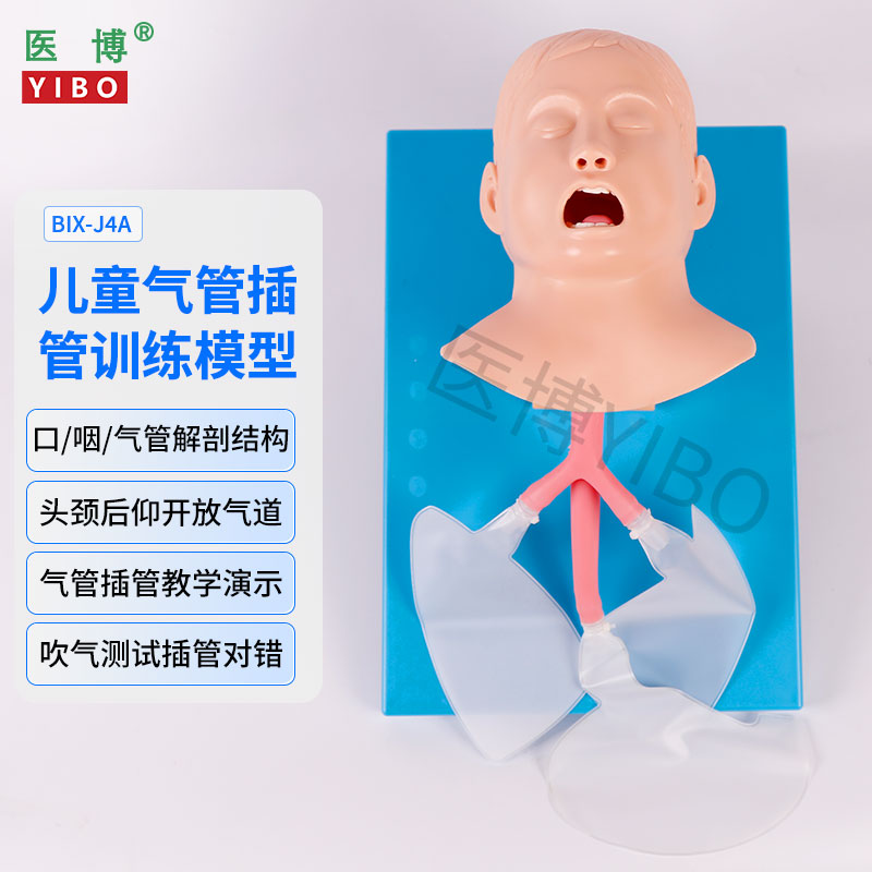 医博儿童人体气管插管模型教具J4A 儿童气管插管训练模型教具 医学人体模型教学教具