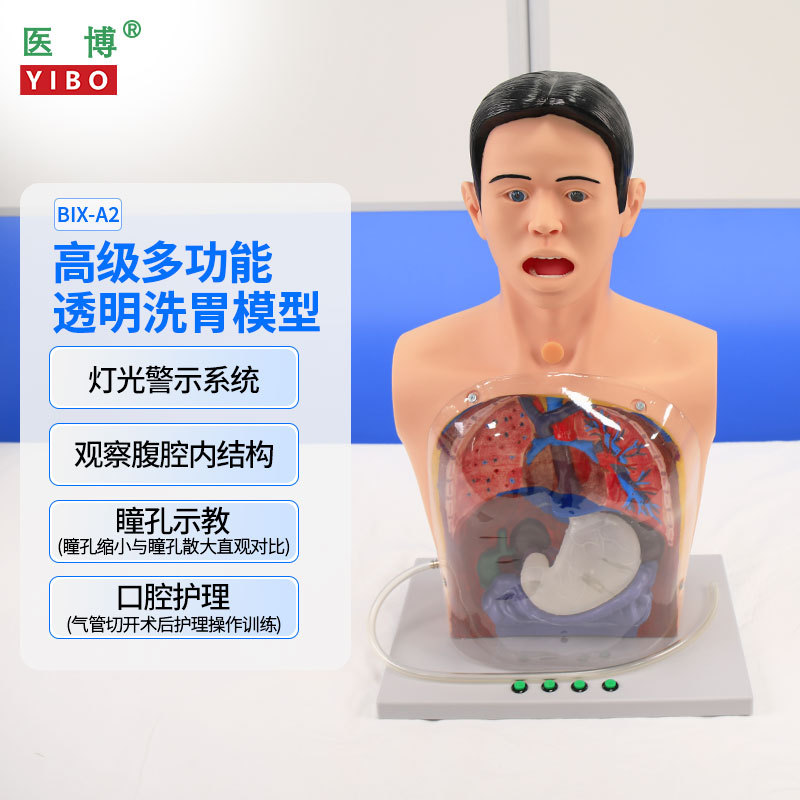 Medical Bix-A2 Advanced Multifunctional Transparent Gastric Lavage Training Simulator, Gastric Lavage Procedure, Gastrointestinal Decompression, Oral and Nasal Feeding Tube Placement Care Training Model with Light Warning System