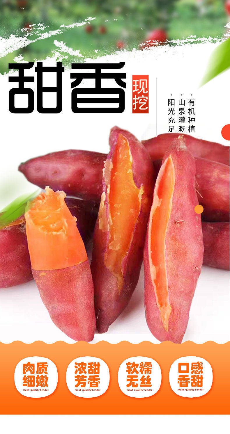 绿巧音 新鲜农家香甜蜜薯 5斤 图1