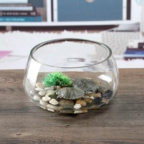 Round transparent glass fish tank ornaments desk turtle tank household living room hydroponic thick small creative turtle tank