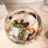 Прозрачный креативный стеклянный аквариум