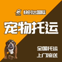 Pet Consignment National Beijing Shanghai Guangzhou Shenzhen Air Transport Special Car Transport Cat Dog Pigeon International Consignment Mailing