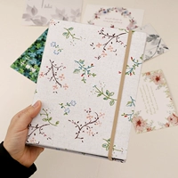 Стандарт 6 -inch@标 标 标