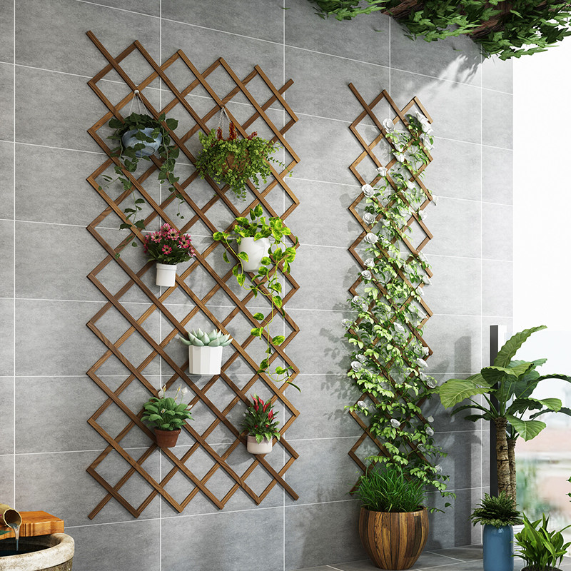 Flower - holding shelves climb vine brackets outdoor courtyard balcony hanging wall - mounted wall - wall fence