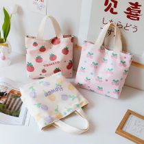 Spring Tours Handbag Miscellaneous Bags Fashion Office Workers Commute Small Carry Bags Lunch Bag With Rice Small Number Out Lunch Box Bag