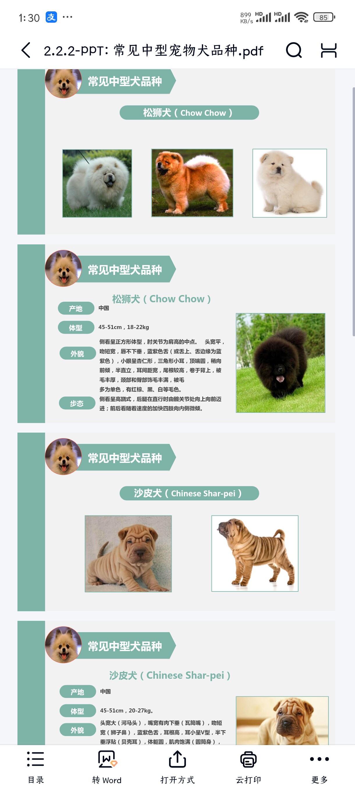 🐾 狗狗新手指南| 常见犬品种鉴别和饲养秘籍🐶-宠物-淘宝好物网