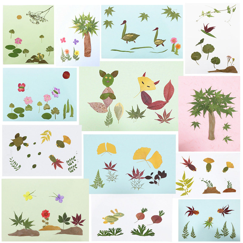 Leaf painting handmade DIY material true leaf collage plant specimen material pack kindergarten children's interest
