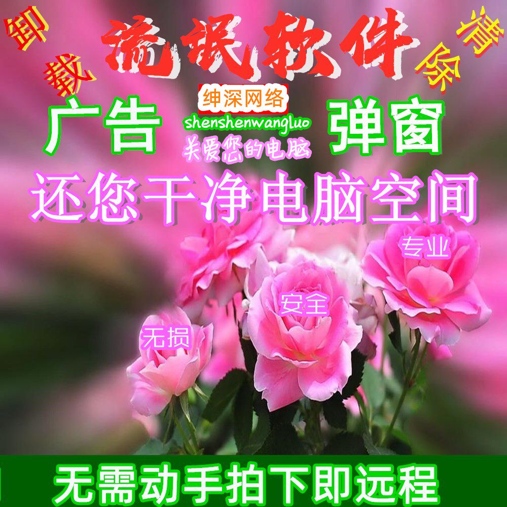 Remote cleaning up rogue software Pop-up Windows Advertising Hotspot News Games Remove Computer Junk Delete Interception Offloading