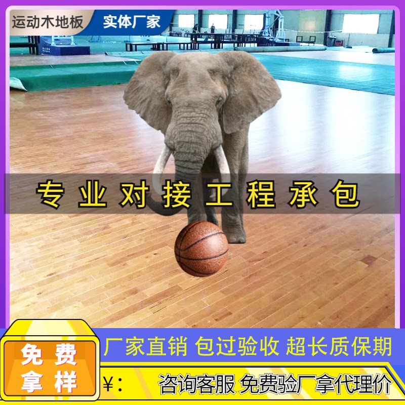 Sports wood floor indoor basketball hall solid wood floor maple birch non-slip wear-resistant badminton stadium dedicated