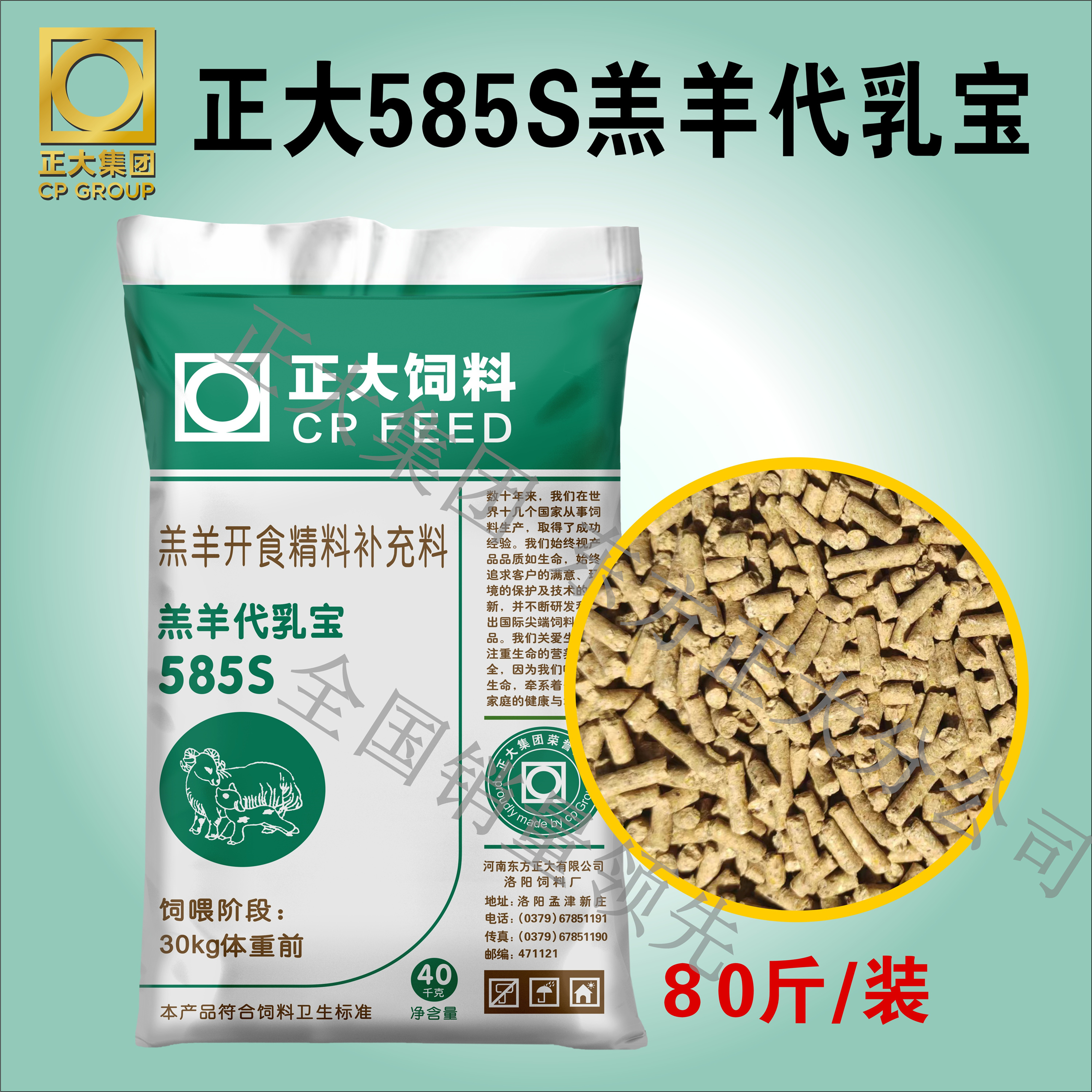 正大母羊浓缩饲料：助您实现高产奶、健康新生与快速育肥的秘密武器！