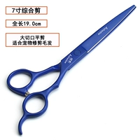 Синяя красавица 7 дюймов плоской