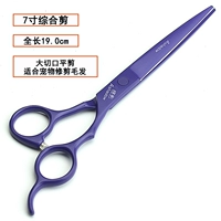 Purple Beauty 7 -Anch Emplossive Plat Rutc