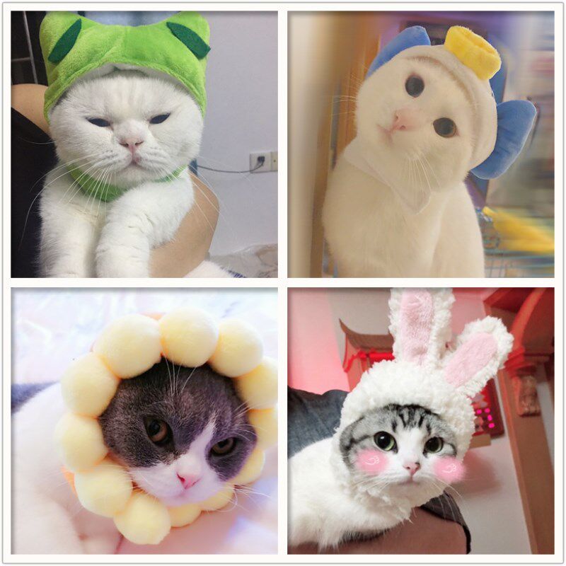 Pet lion headgear rabbit ears small dog dog hat cat cute funny accessories headdress change dress