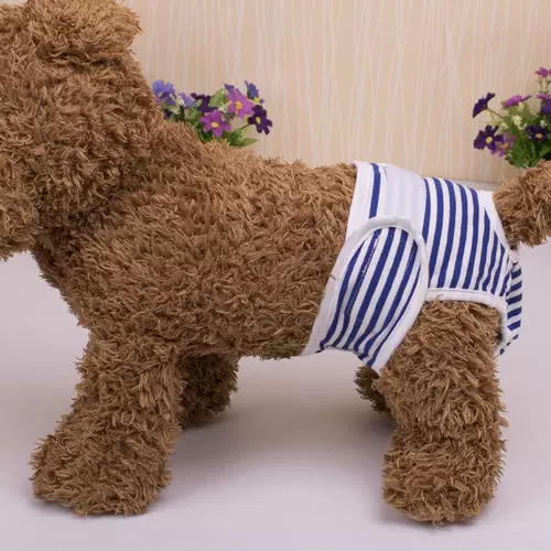 Физиологические штаны мальчика