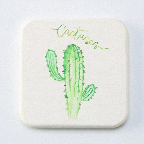 СущностьДиатомовая почва абсорбирующая подушка