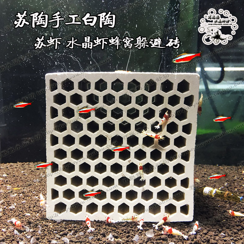 Breeding from crystal fire honeycomb ceramic brick natural shrimp very alien nest young shrimp protect Sue shrimp cabin