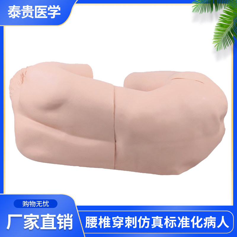 泰贵医学CK811腰椎穿刺仿真标准化病人腰麻训练模拟脑脊液全身模型