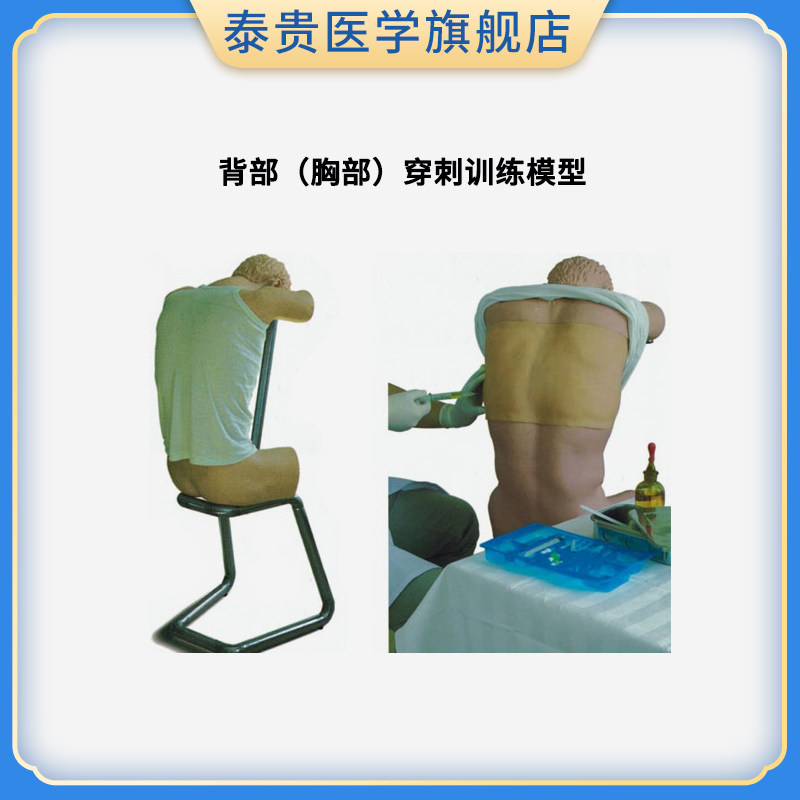 胸腔穿刺模型背部（胸部）穿刺训练模型综合穿刺技能训练假人(前倾坐位)医学教学培训模拟人CK812