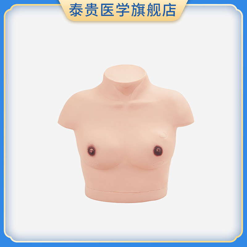 女性乳房乳腺检查模型 高级乳腺视诊与触诊模型医学临床教学模型