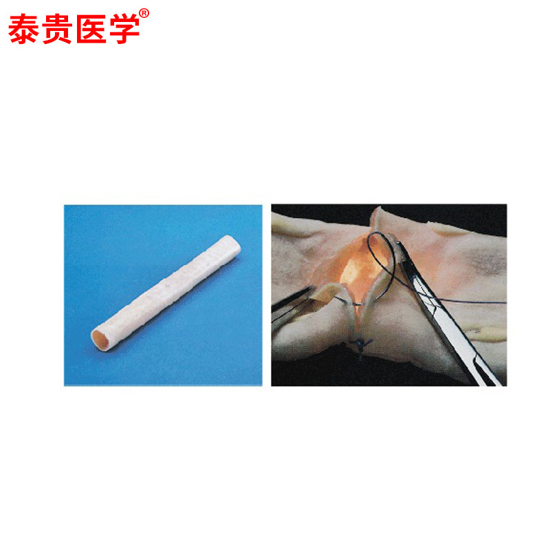 肠管吻合仿真模型血管缝合训练模块