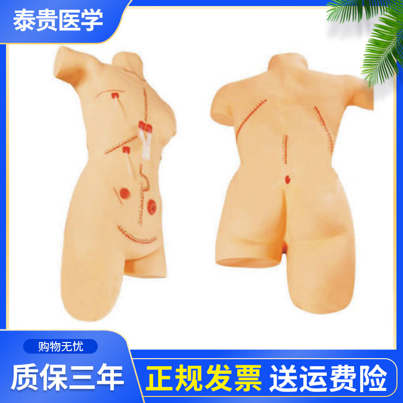 外科缝合包扎展示模型 清创训练模型切开缝合演示 拆线换药训练模型 泰贵医学TG LV18