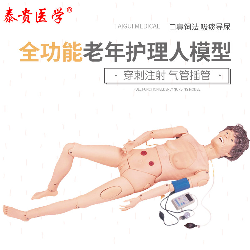 泰贵医学TG/H220B全功能女性老年护理人模型（血压手臂）