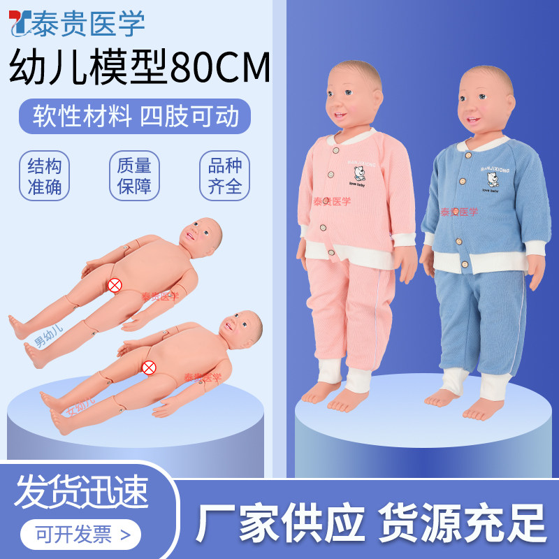 泰贵医学 幼儿模型80CM