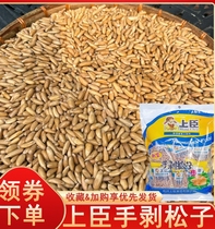 Shangchens hand-peeled pine nuts Brazil nuts roasted seeds new seeds new goods large grain snacks independent small packages new year goods