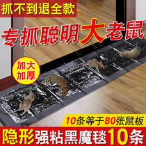 Rat sticker super strong sticky rat board to catch and catch the sticky rat catching artifact to kill rats household indoor rat sandwich glue big rats