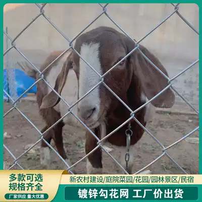 Hot-dip galvanized steel wire hook net barbed wire fence breeding net Orchard protective net chicken raising dog guardrail isolation net