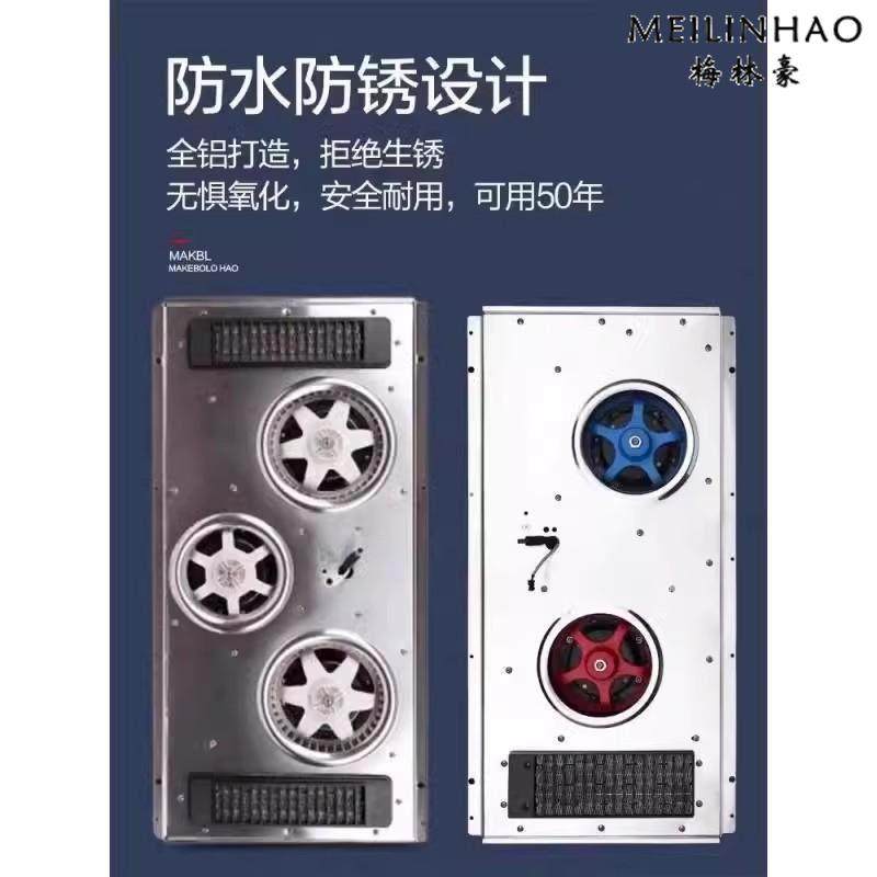 International Electric Heater, Bathroom Heater, Integrated Ceiling Five-In-One Bathroom Exhaust Fan, Lighting Heater, Warm Air