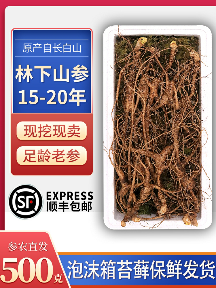 Now dig fresh forest ginseng 15-20 years ginseng Changbai Mountain Wild Mountain Ginseng Northeast Mountain Ginseng bubble wine three wild ginseng