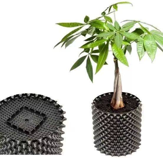 绿泉穴盘控根器