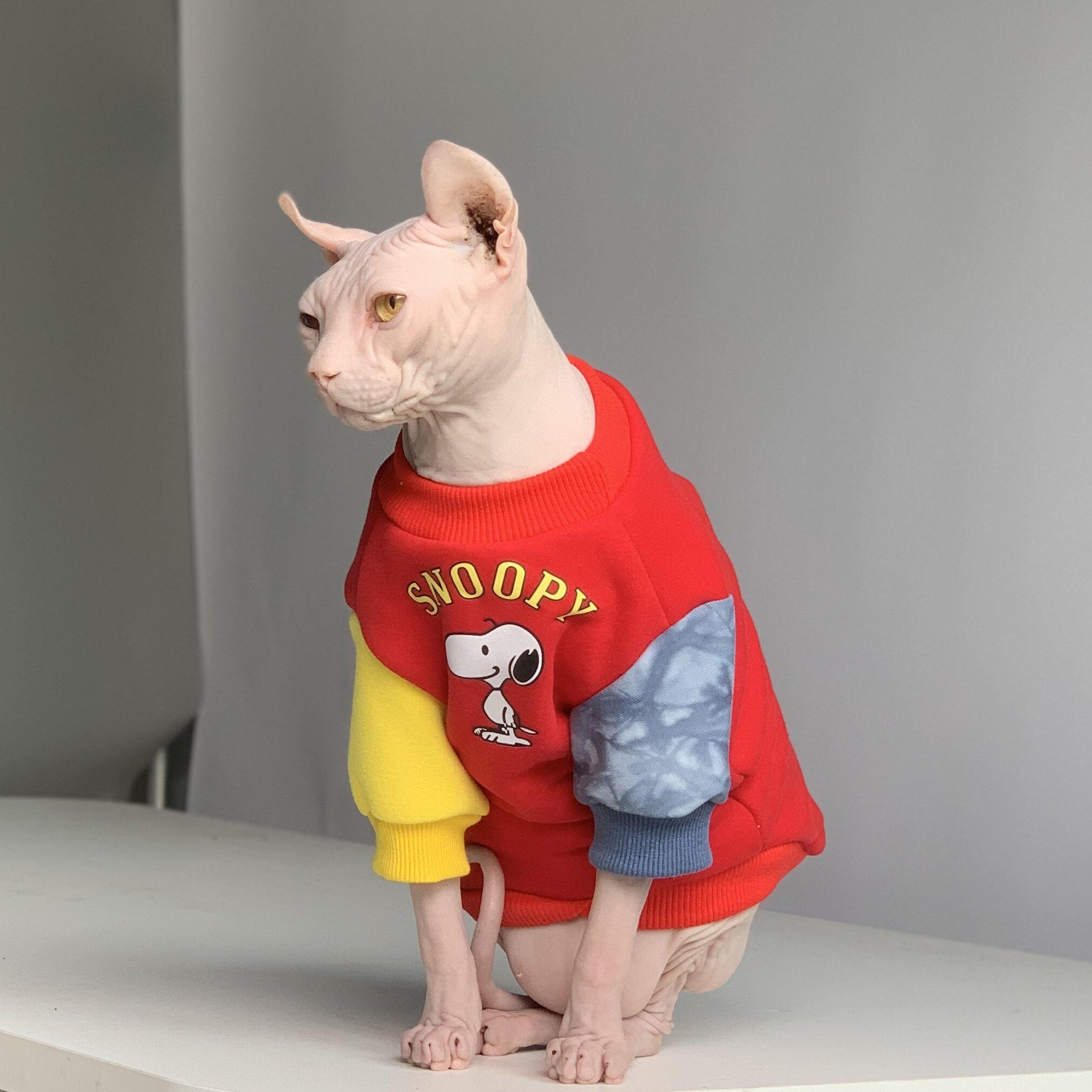 Cat-free clothes thickened cotton Spinx heat warm clothes color tide cat clothes German short feet