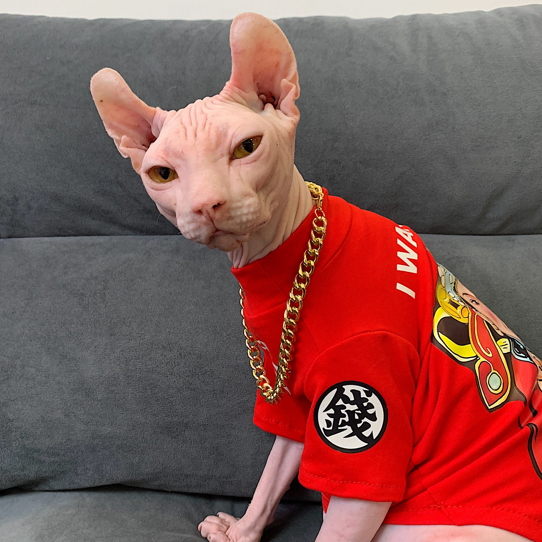 Spinx Clothes Pure Cotton Cattle Autumn Winter Clothing Eidevan Short Foots Vest Air Conditioning