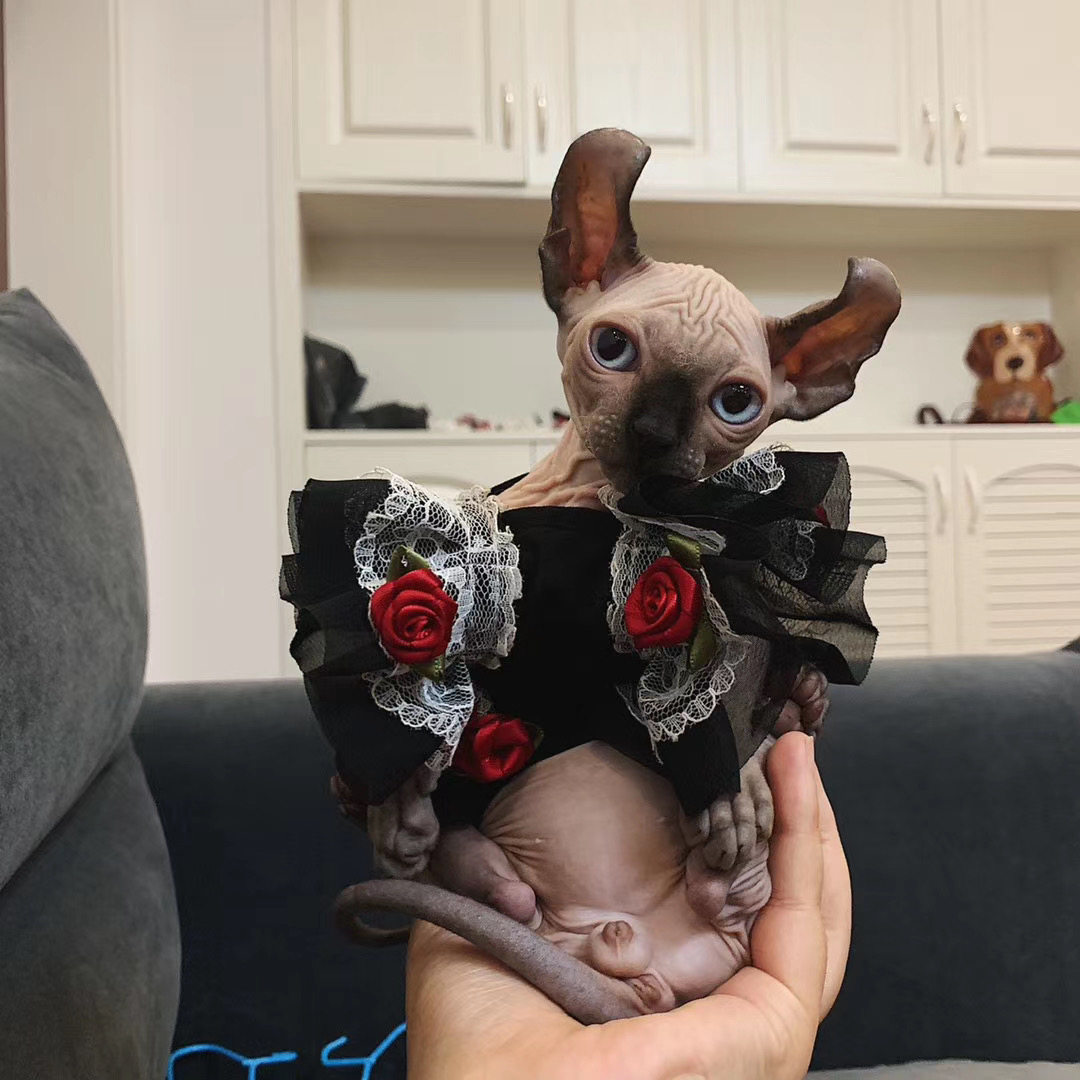 Hairless cat clothes knitted pure cotton rose small sling summer thin section air-conditioning clothes dwarf cat anti-undressing