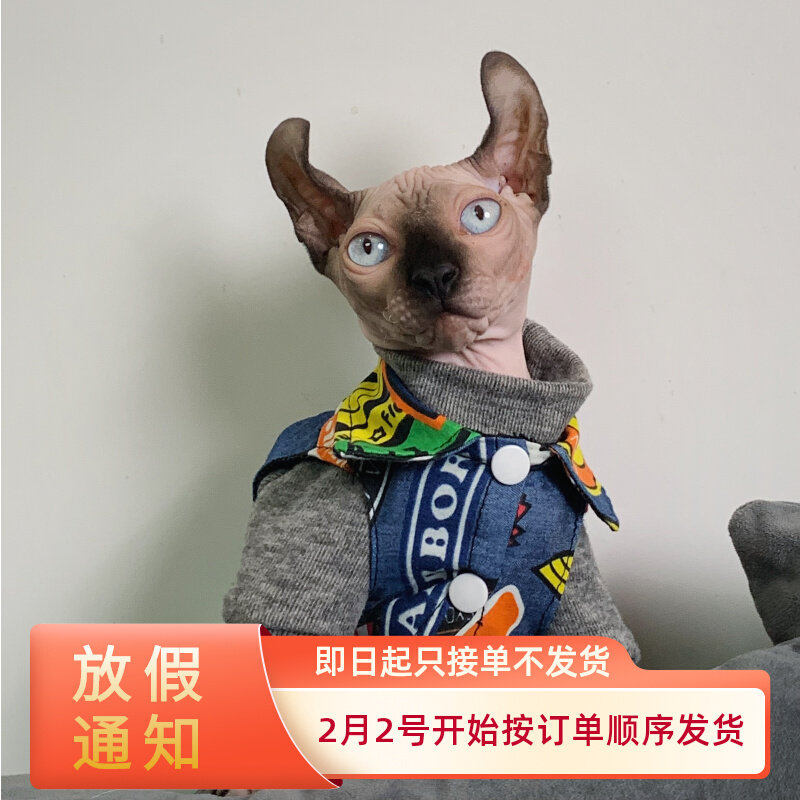 Cat-free printing cowboy horseback summer thin German dwarf Spinx cat clothes