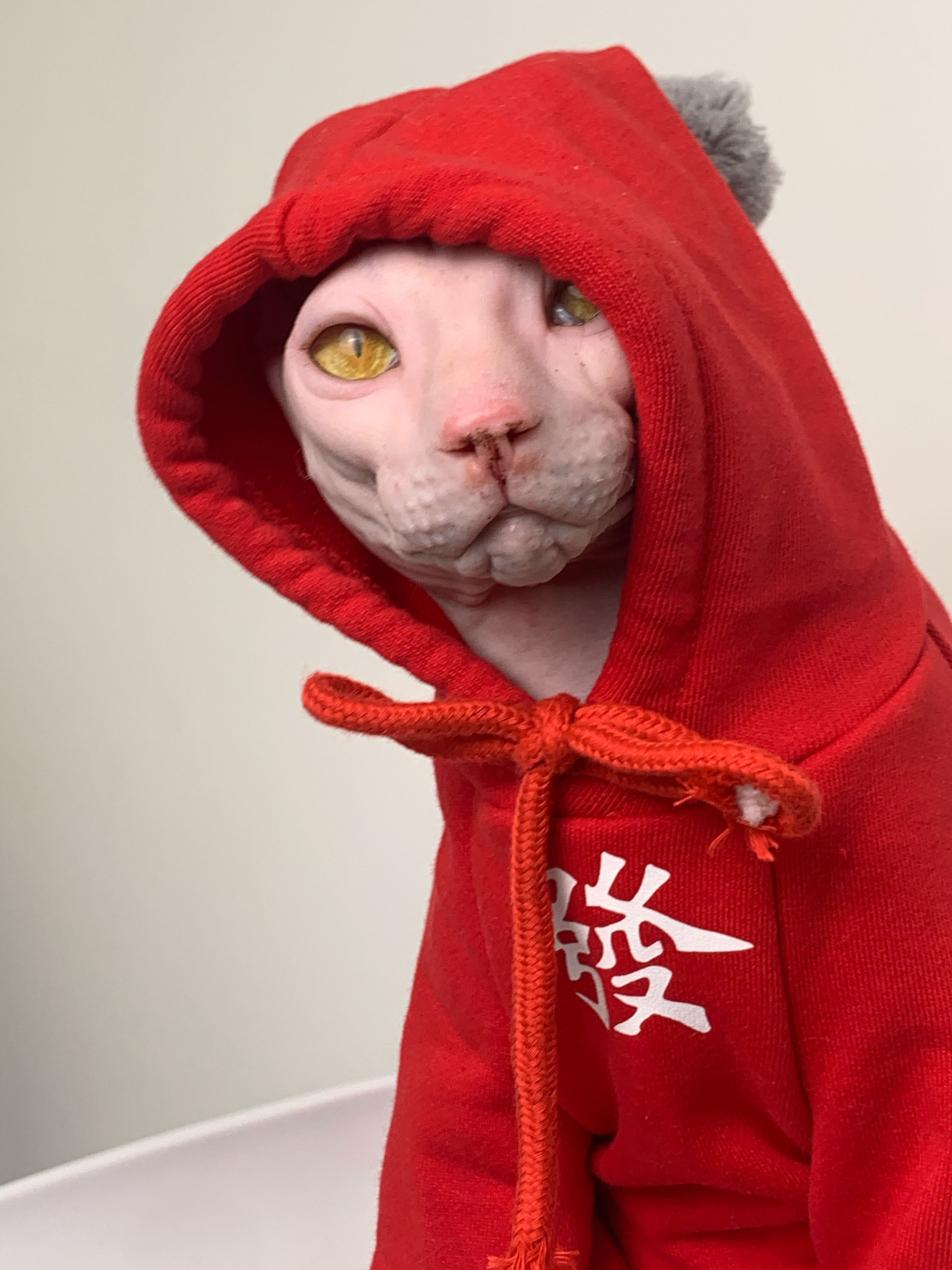 Custom Hairless Cat Clothes Sphinx Pure Cotton Sweater Festive Red Hair Short Leg Cat Warm DIY Text