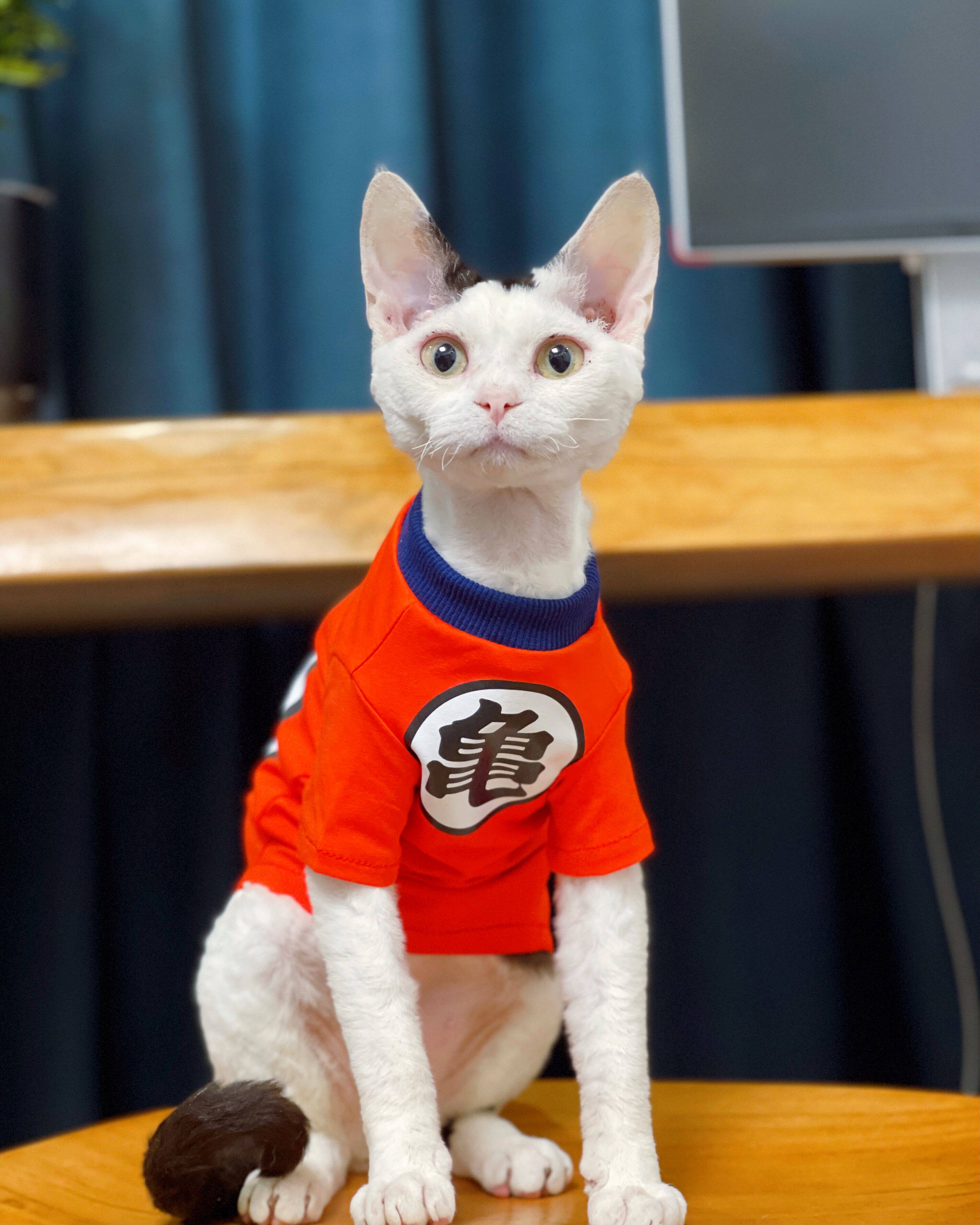 Cats summer cotton clothes skin anti - allergy breathable and cool German roll - back dough tide T - shirts