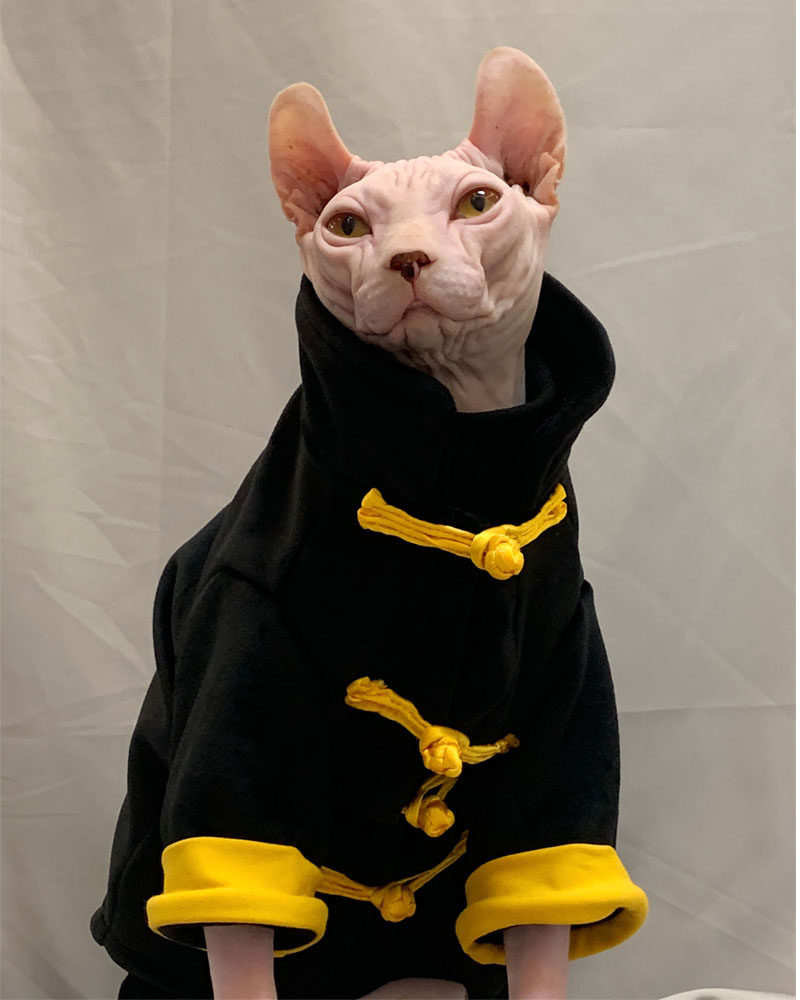 Pet Tide Card No Hairy Cat Clothes Thick Autumn Winter Spincks Dwarf Feet Kitty Silver Velvet Landowners Old dress 