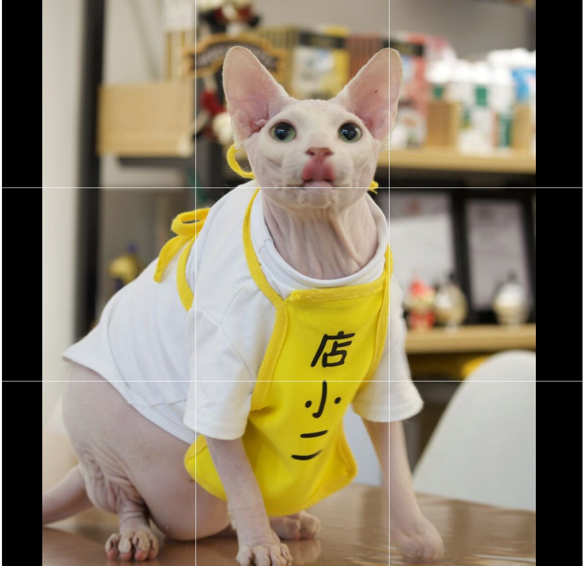 Handmade Custom Hairless Cat Clothes Shop Small Er Apron