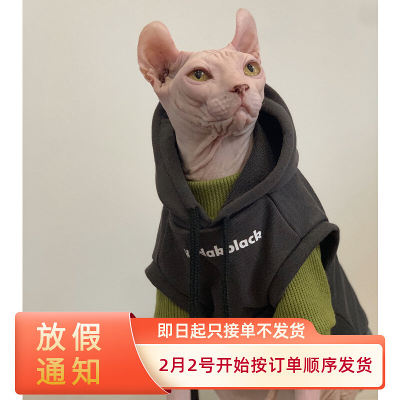 Tide brand hairless cat clothes autumn and winter warm Sphinx gray hooded sweater cat clothes German short feet