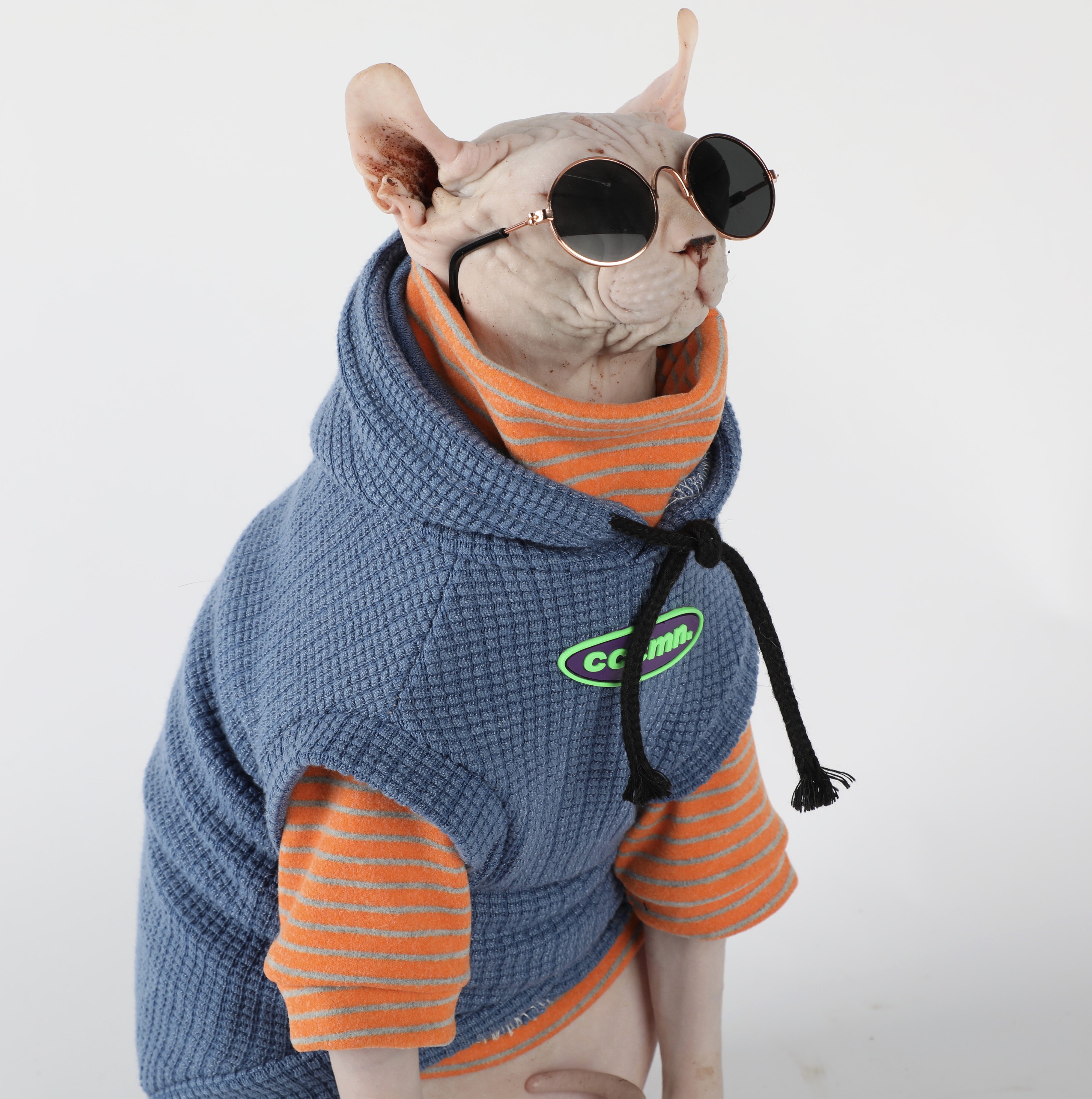 Tide-branded hairless cat clothes warm Spinx Blue Link Cat kitten warm feet