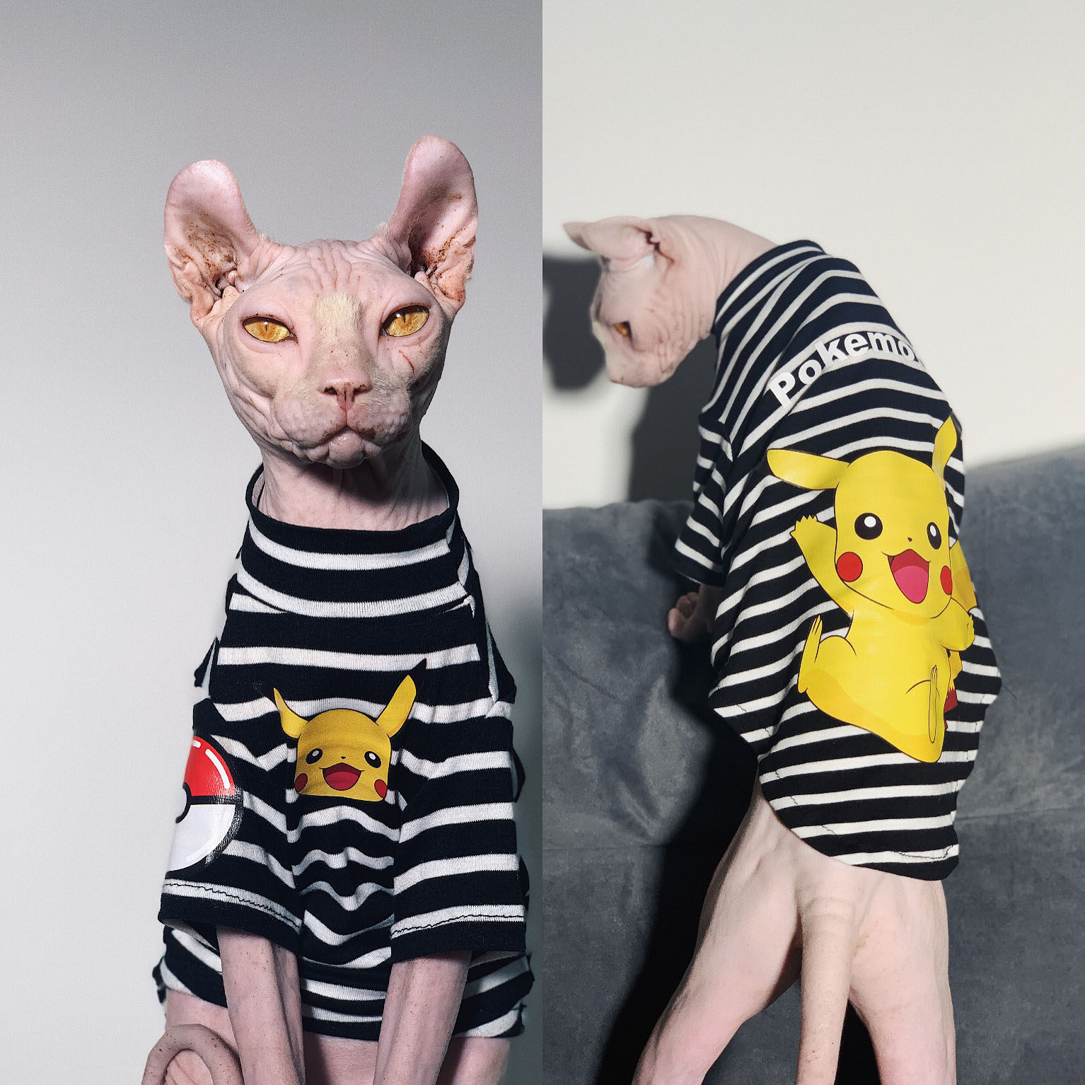 Handmade pet tide hairless cat spring and summer clothes Sfinkesdelein vest T-shirt pure cotton breathable thin