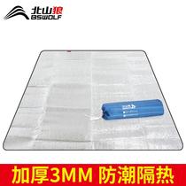 Picnic mat aluminum foil moisture-proof mat thickened outdoor picnic field outing mat waterproof portable camping tent mat