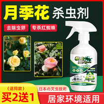 Season Season Flowers Everuse Medication Killing Red Spider Gecko Shell Bugs Small Black Fly Aphids Special Medication Rose Flower Plant Insecticide