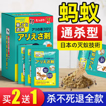 Anti-Ants Drug Full Nest End Home Themetics Outdoor Control of Killing Termite Red Fire Ant Bait non-non-toxic Ants Clear