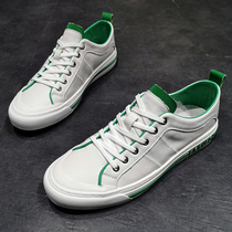 Summer mens shoes breathable thin section 2022 New wave shoes mens genuine leather 100 hitch casual soft cow leather little white shoes man