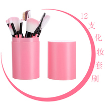 12 Loaded Makeup Brush Suit Eye Shadow Blush Loose Powder High Light Repair Brush Powder Bottom Lip Brushed Beauty Makeup Tools Complete